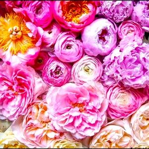 Meet your Posher, Lizette